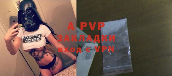 ПСИЛОЦИБИНОВЫЕ ГРИБЫ Козловка