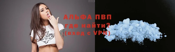 стафф Козельск