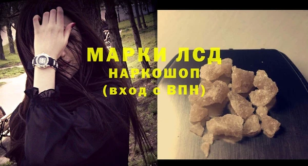 ПСИЛОЦИБИНОВЫЕ ГРИБЫ Козловка