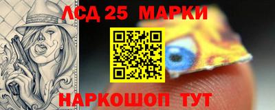 индика Жуковский
