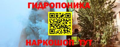 эйфоретик Берёзовский