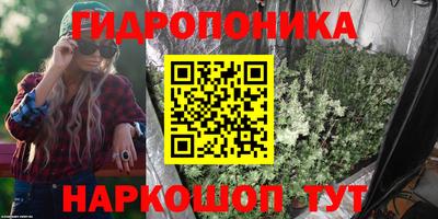 apvp Дубна