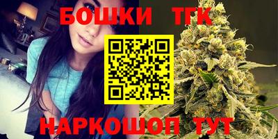 индика Жуковский