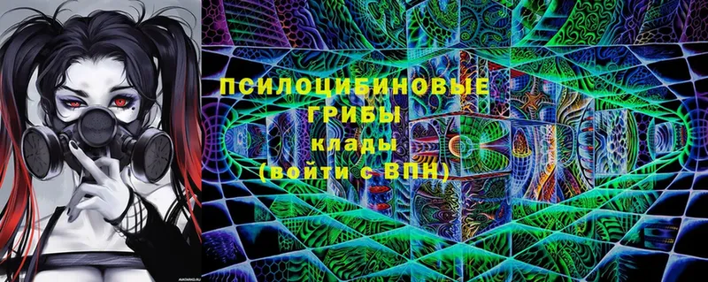 Галлюциногенные грибы прущие грибы Коркино