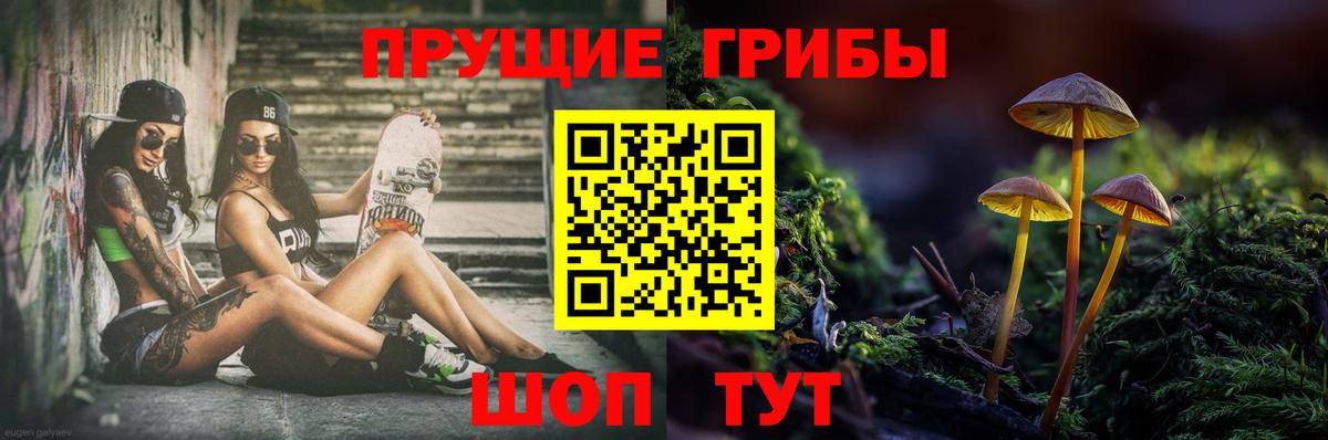 Псилоцибиновые грибы MAGIC MUSHROOMS Коркино